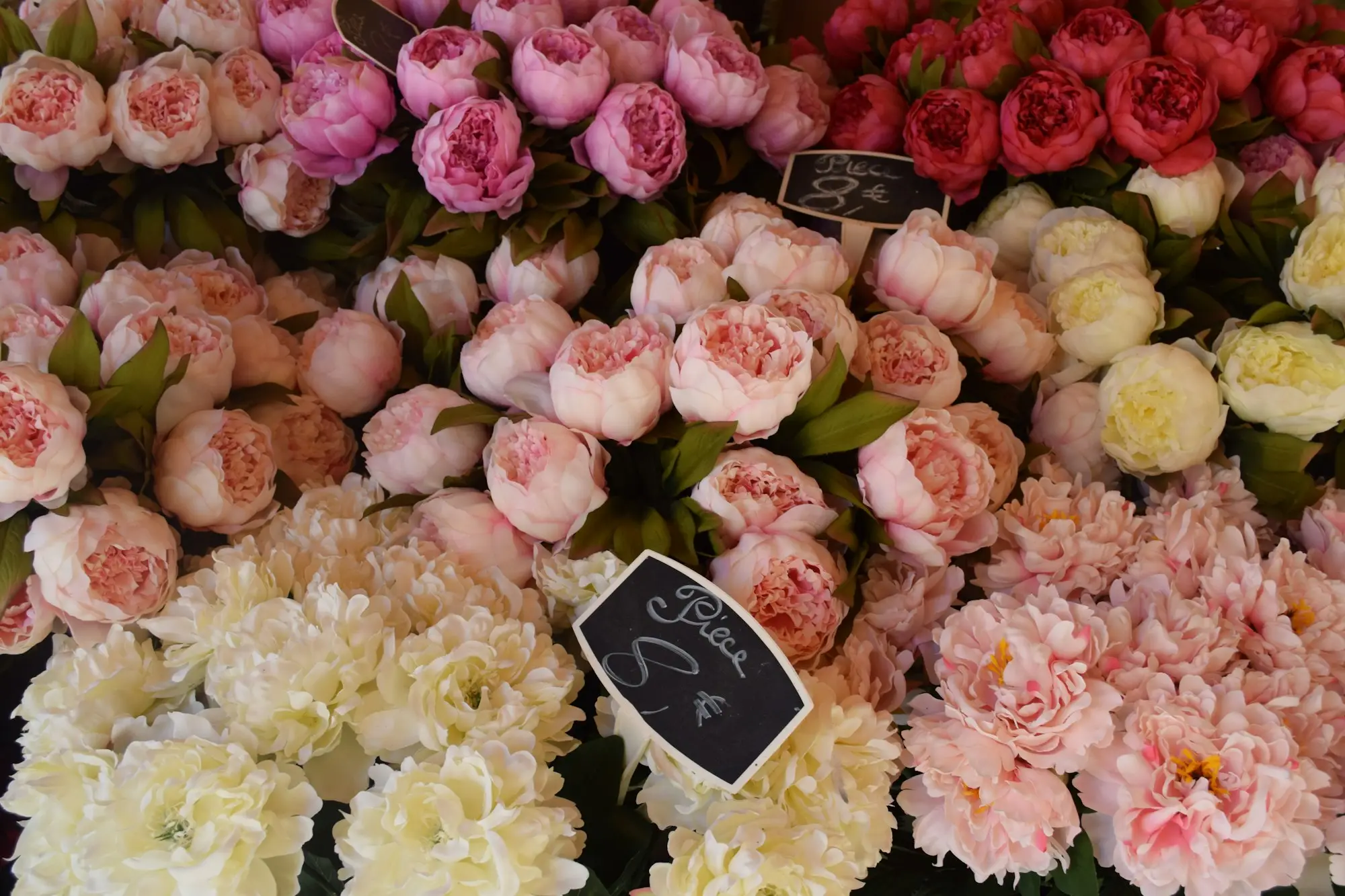 Pink and white flowers on display at a florist