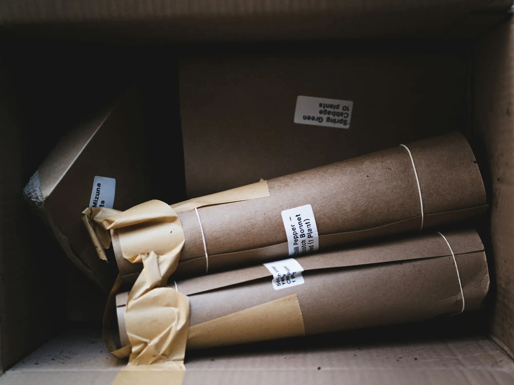Paper bag order ready to ship