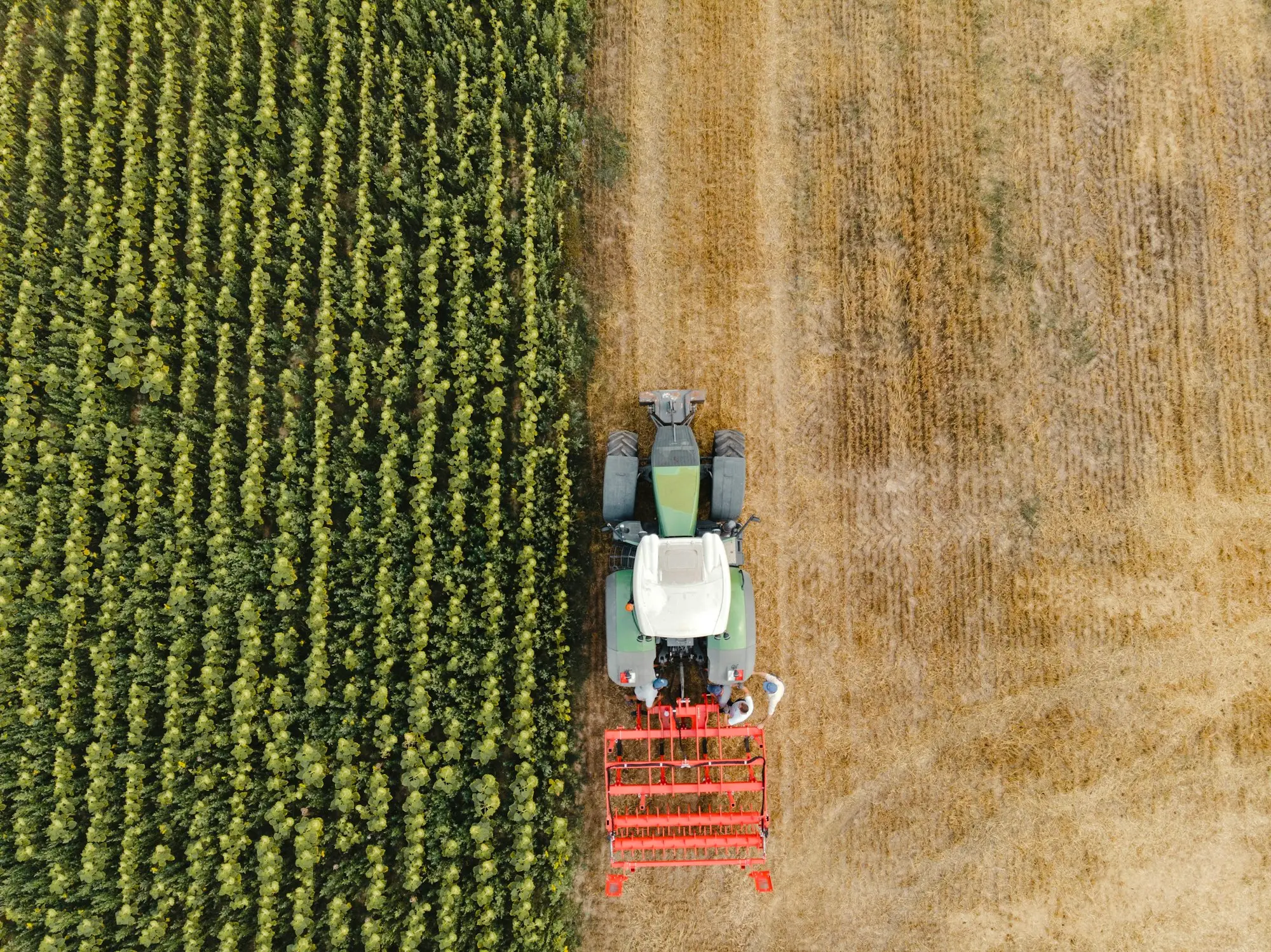Tractor working in a paddock